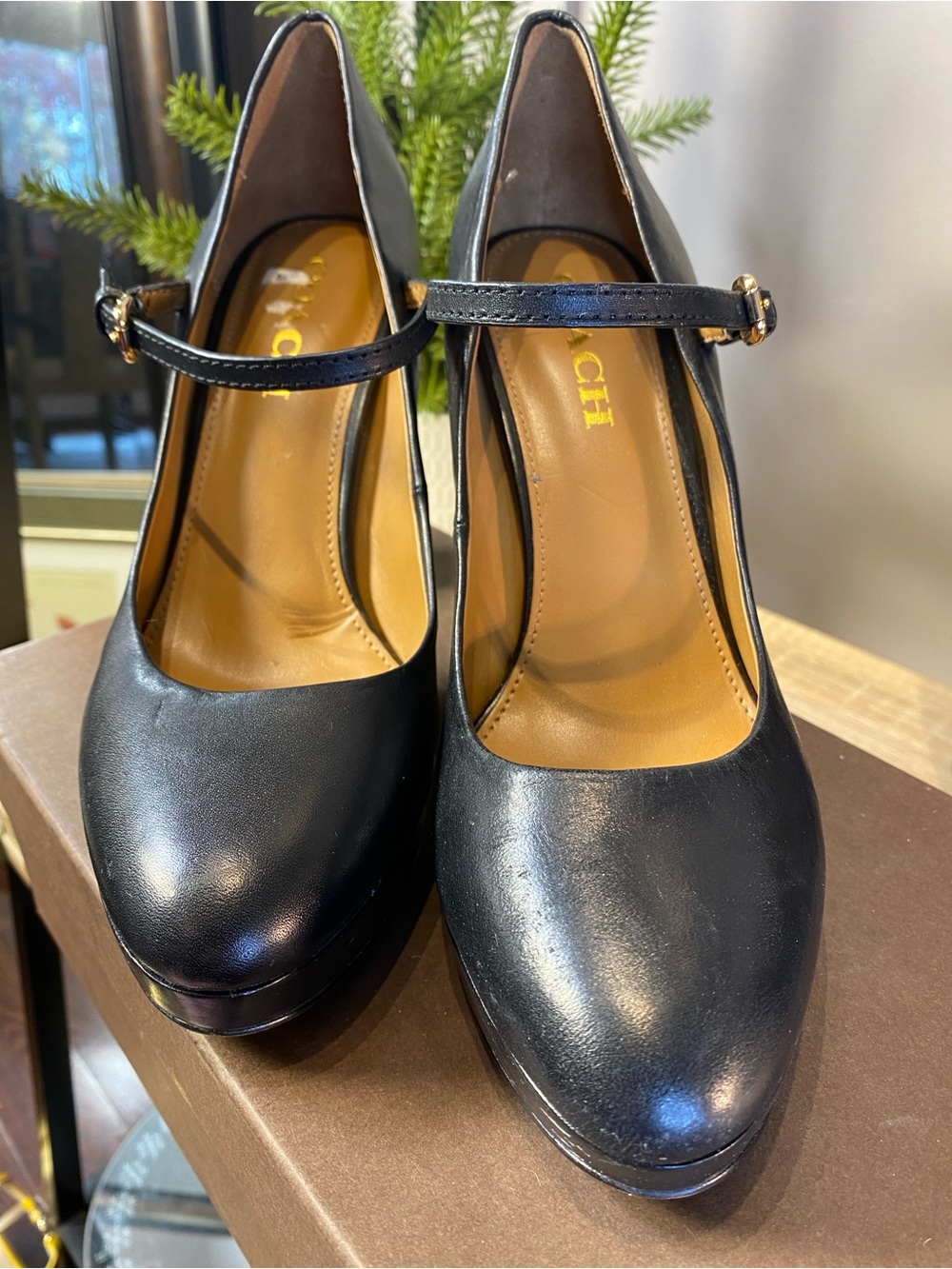 Women's Coach Black Leather Goldie Mary Jane
Platform Pumps 7.5 - Picture 2 of 13